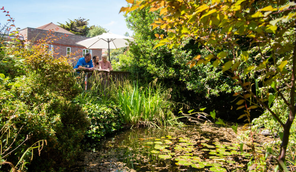 A tranquil pond with a wooden bridge crossing over, creating a perfect spot for relaxation and reflection.