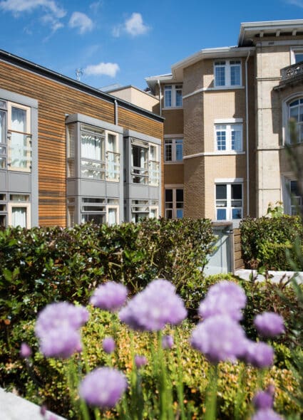 Purple flowers in the roof gardens at James Terry Court care home.