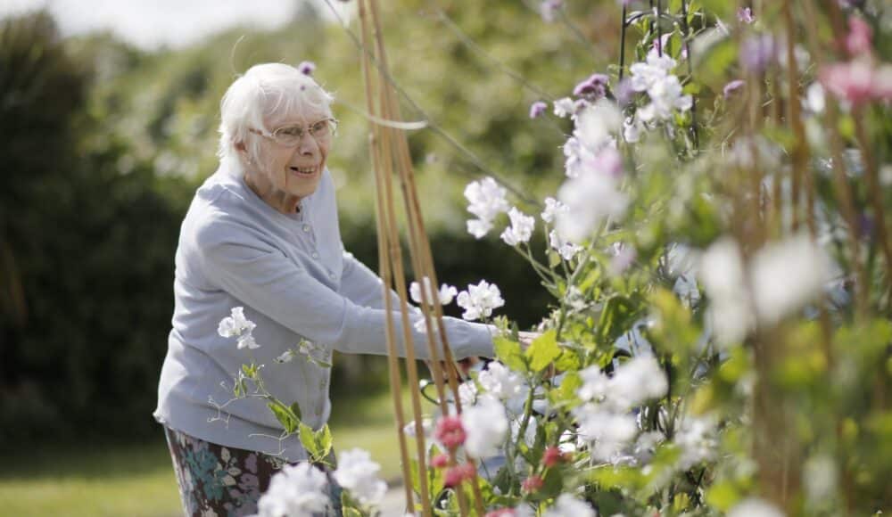 Lord Harris Court gardens