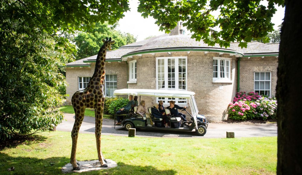 Safari trip at Prince Edward Duke of Kent Court