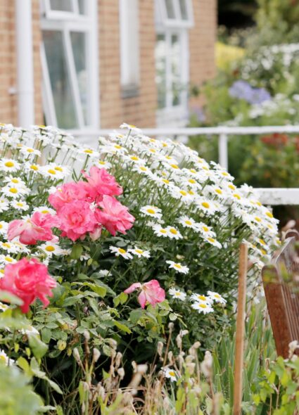 Outdoor seating area at Prince George Duke of Kent Court