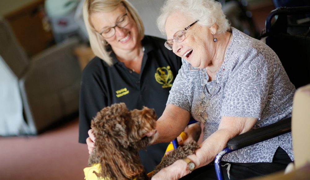 Pets as Therapy activity at Queen Elizabeth Court