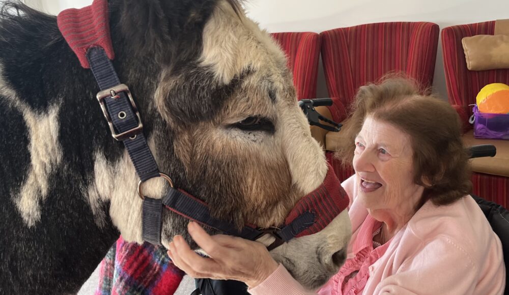 A heartwarming scene of an older woman lovingly petting a donkey inside a charming room filled with warmth.