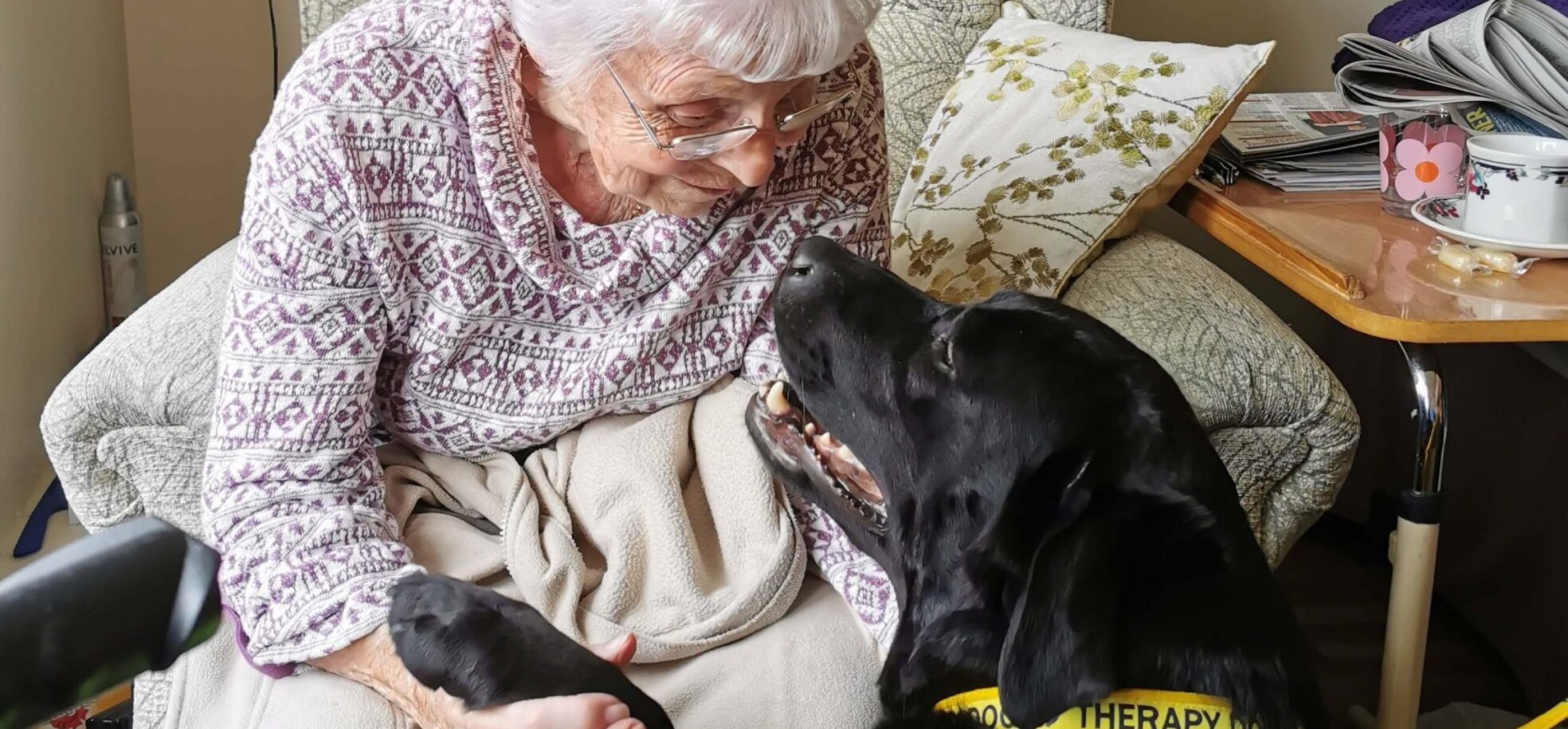 Resident Dylis Waddington ‘catches up’ with Stella, a therapy dog