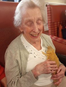 Resident Dorothy Woodward is delighted to hold Susan, a bearded dragon at RMBI Care Co. Home The Tithebarn, in Great Crosby