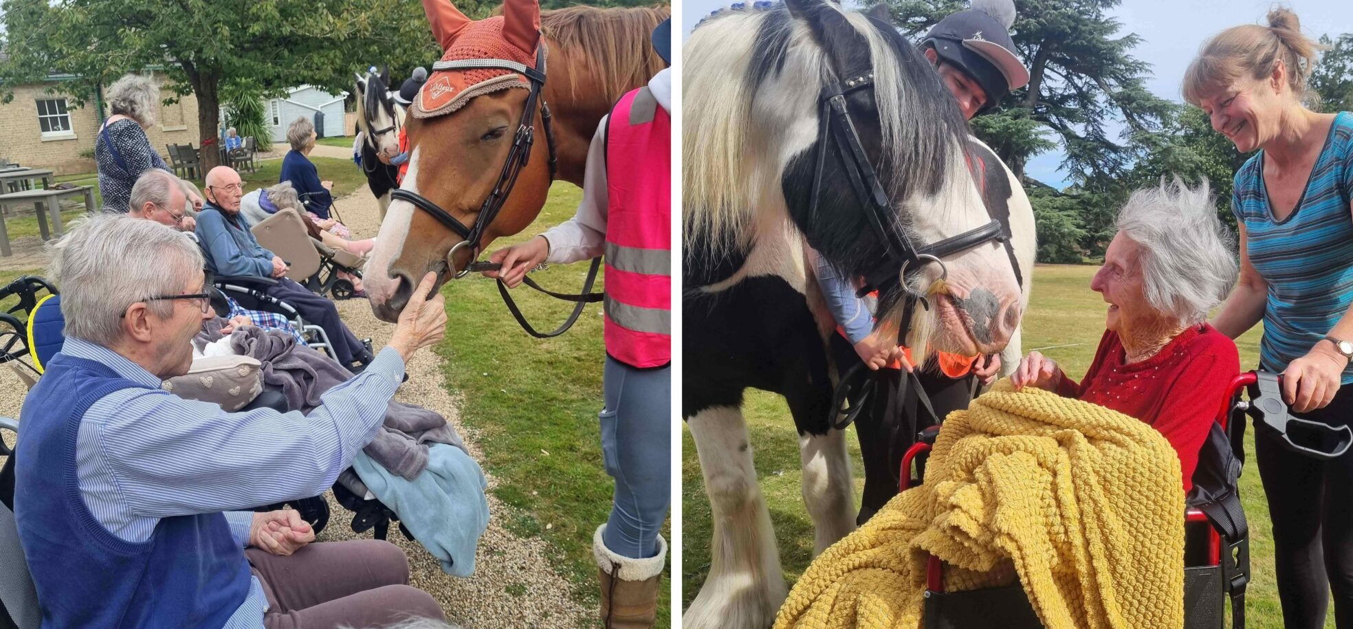 On the left, resident Norman in a blue shirt gently strokes Teddy, a seven-year-old Chestnut thoroughbred horse. On the right, resident Gladys in a read top with staff member Karen in a stripy blue t-shirt meet Louis, a six-year-old black and white Shire horse, at RMBI Care Co. Home Prince Edward Duke of Kent Court, in Braintree.