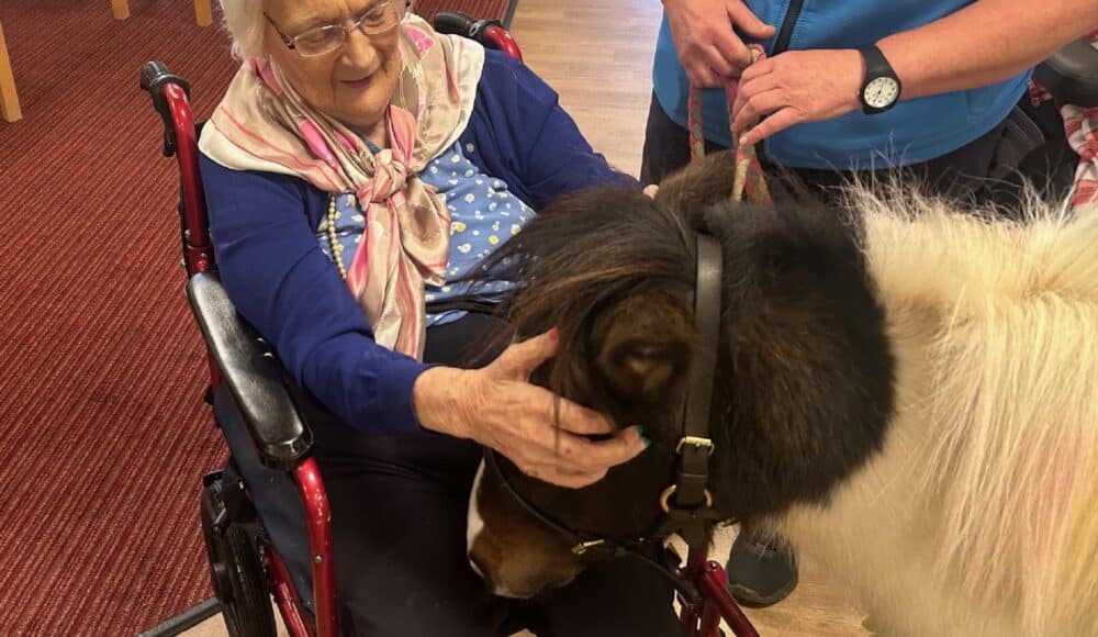 Pony therapy at Queen Elizabeth Court care home in Llandudno