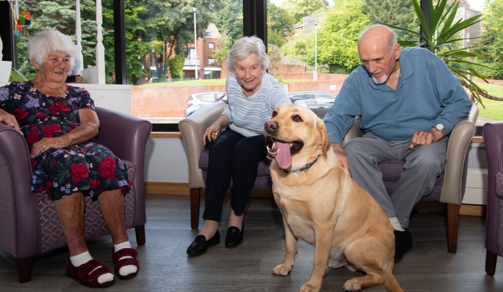 The three residents are sitting in comfortable armchairs by a big window. Outside, you can see trees on a sunny day. Two of the residents are stroking Kobi, who is sitting and looks elated with his tongue out.