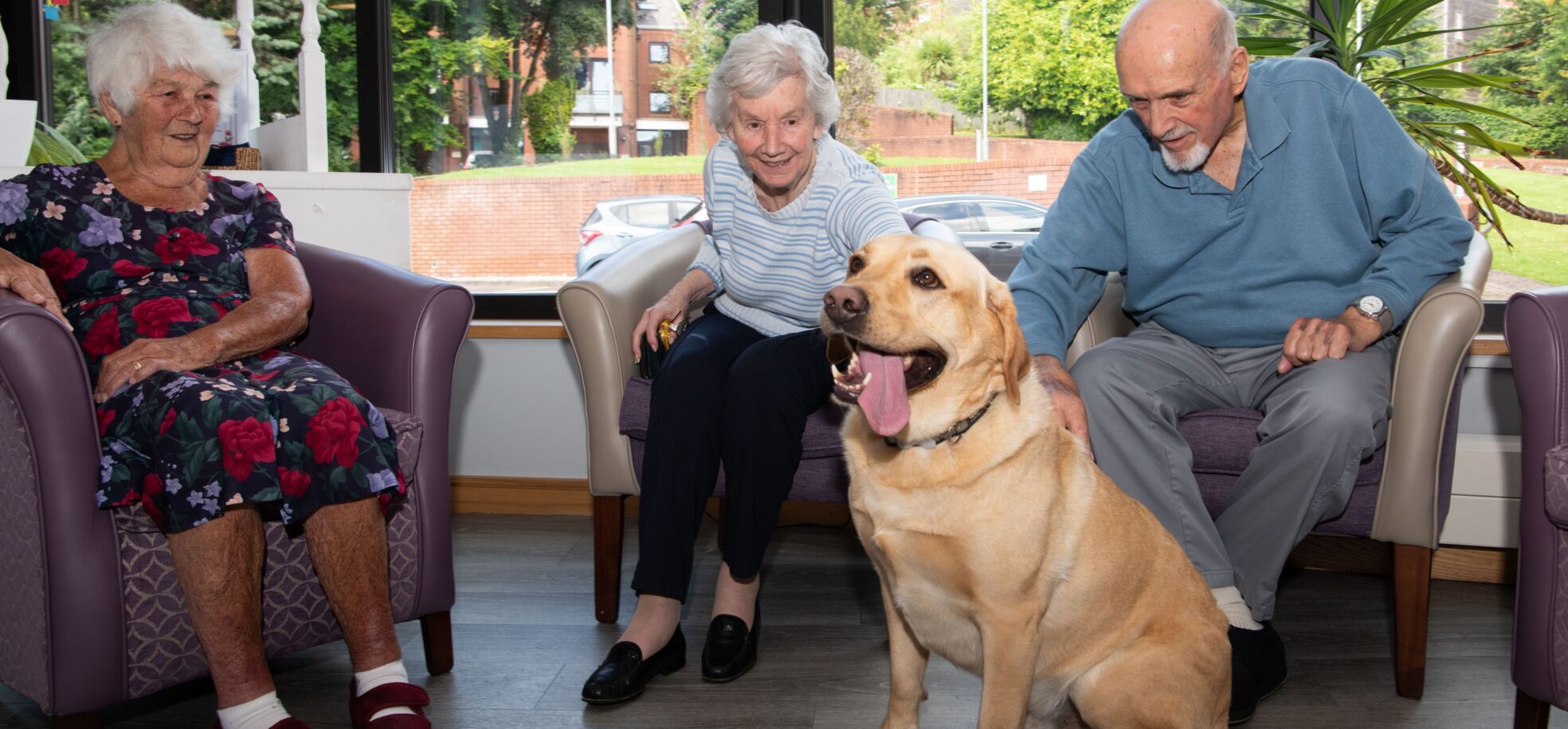 The three residents are sitting in comfortable armchairs by a big window. Outside, you can see trees on a sunny day. Two of the residents are stroking Kobi, who is sitting and looks elated with his tongue out.