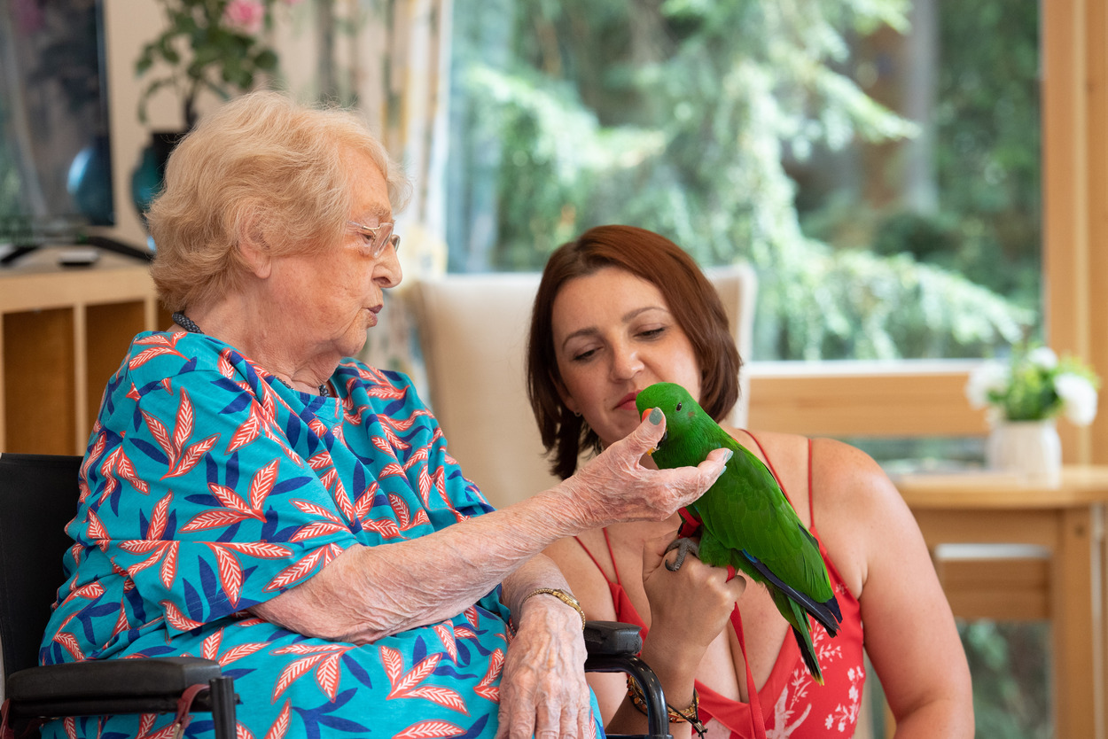 Resident Eunice feeds the green parrot with support from staff member Veronika.