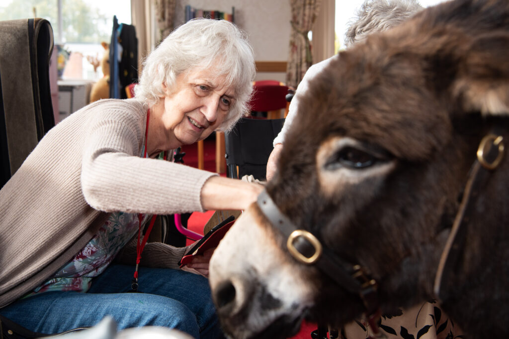 Resident Rae in a beige cardigan and jeans at Devonshire Court gently strokes Tallulah, a dark brown donkey.