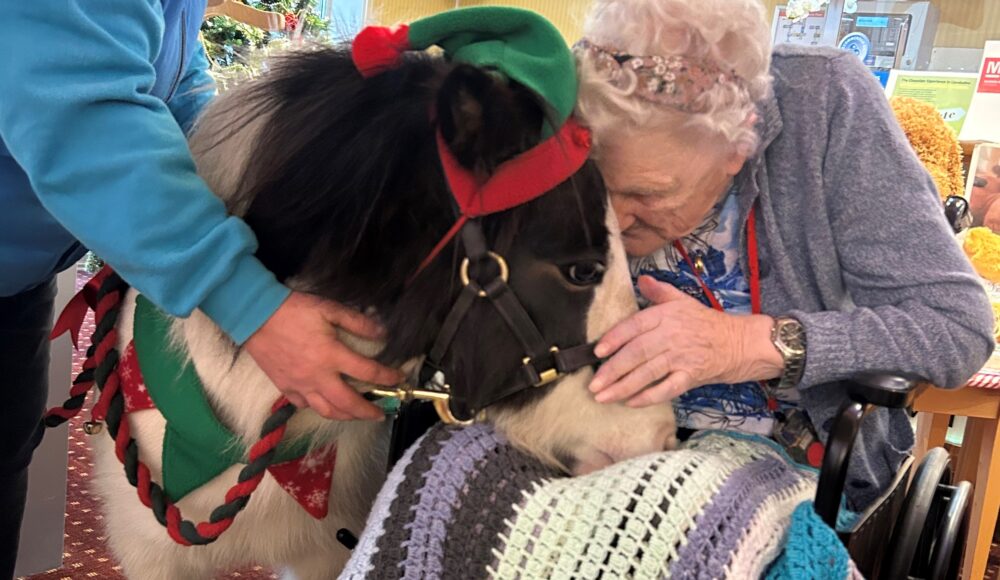 An resident in a lilac cardigan, in a wheelchair gently pets a pony with a green elf hat on, sharing a tender moment of connection and joy.