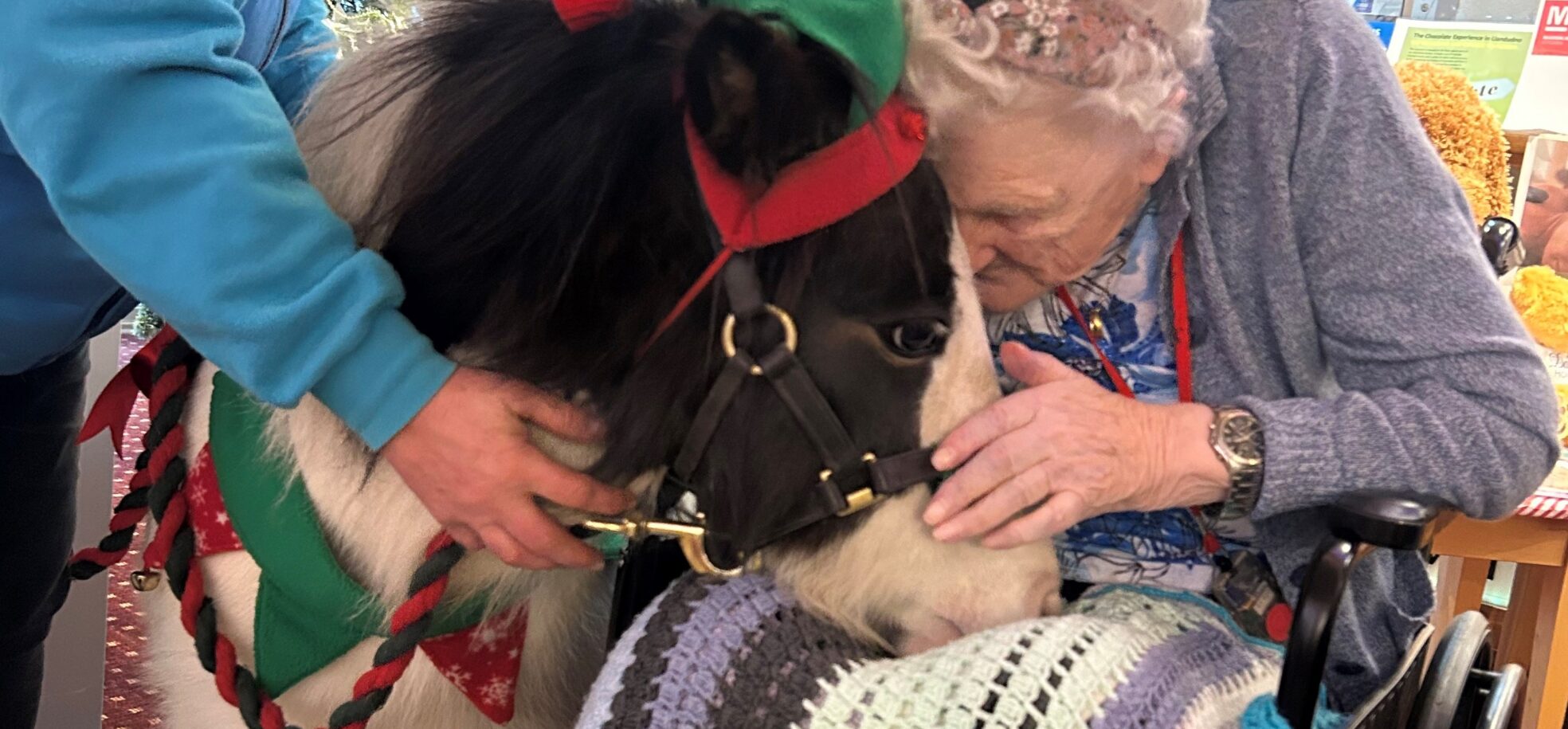 An resident in a lilac cardigan, in a wheelchair gently pets a pony with a green elf hat on, sharing a tender moment of connection and joy.