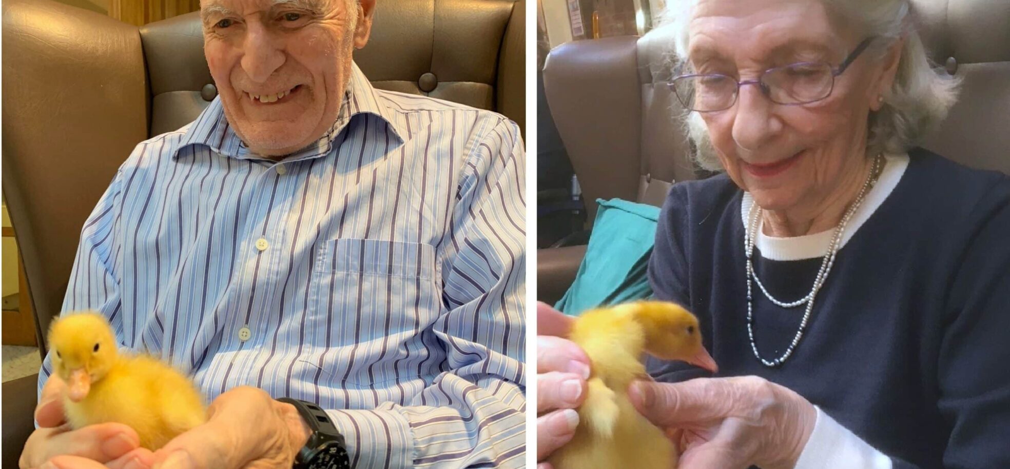 Residents Rex and Stephanie meet the newly hatched chicks at RMBI Care Co. Home Barford Court, in Hove.