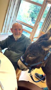 A care home resident, sitting by a table, greets a friendly donkey.