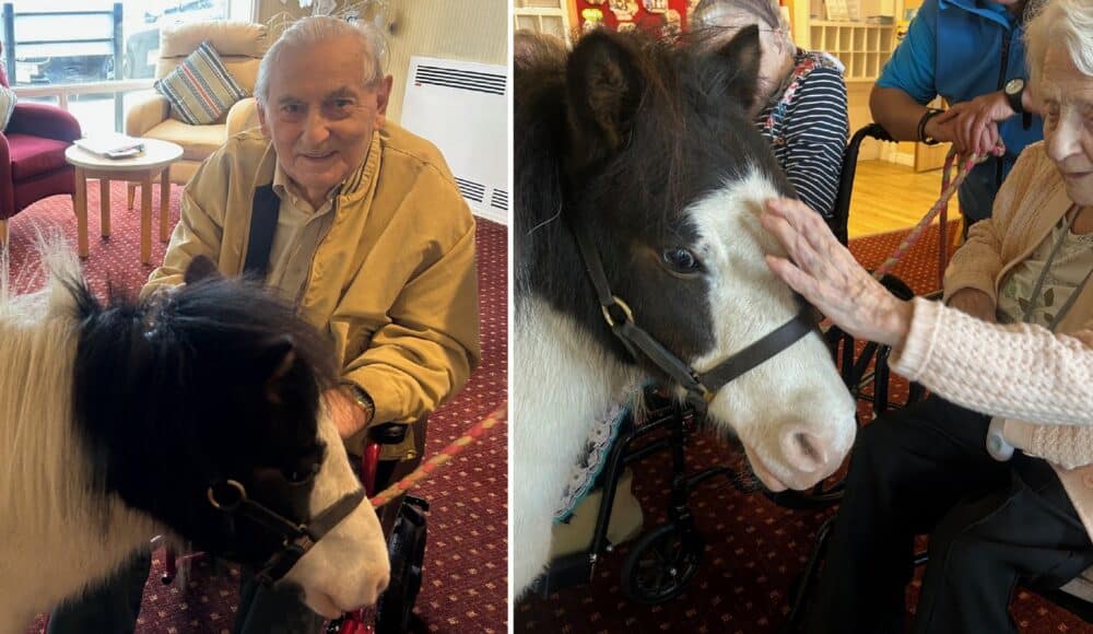 Left: Queen Elizabeth Court resident Gerald meets Sparkles, the miniature therapy pony in Llandudno. Right: 100 year old resident Sheila enjoys stroking Sparkles, the miniature therapy pony.