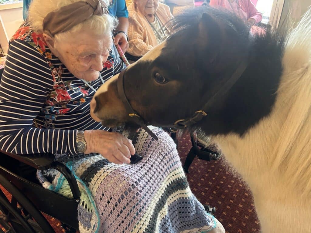 Sparkles, the miniature Shetland pony, nuzzles up with resident Mary at Queen Elizabeth Court, in Llandudno