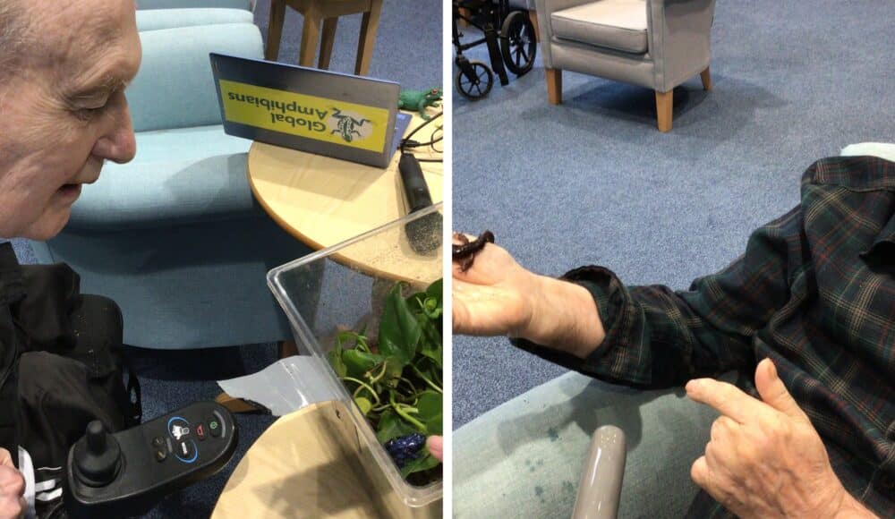 (Left) Resident David is delighted to meet a poison dart frog at RMBI Care Co. Home Connaught Court, in York. (Right) Resident Graham enjoys holding a Californian climbing salamander at RMBI Care Co. Home Connaught Court, in York.