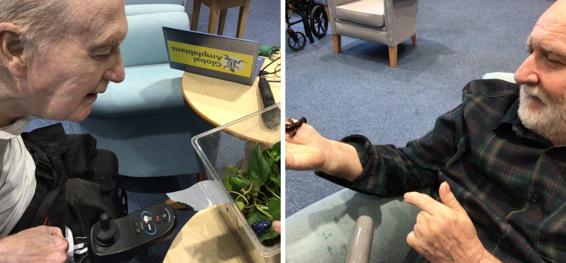 (Left) Resident David is delighted to meet a poison dart frog at RMBI Care Co. Home Connaught Court, in York. (Right) Resident Graham enjoys holding a Californian climbing salamander at RMBI Care Co. Home Connaught Court, in York.