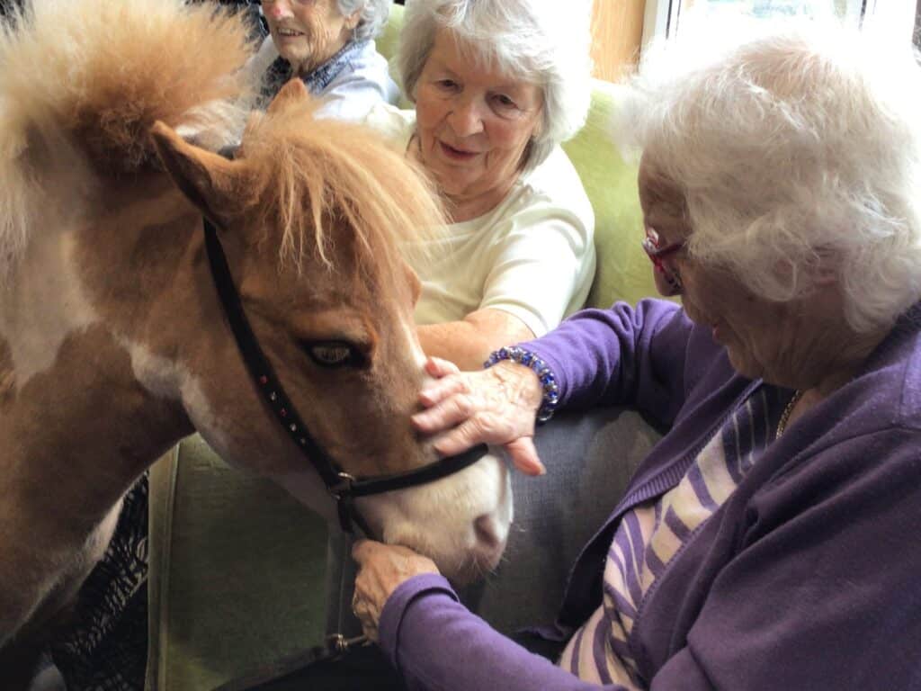 RMBI Home Connaught Court’s residents Jean and Rachel are delighted to pet Monet, an American miniature horse