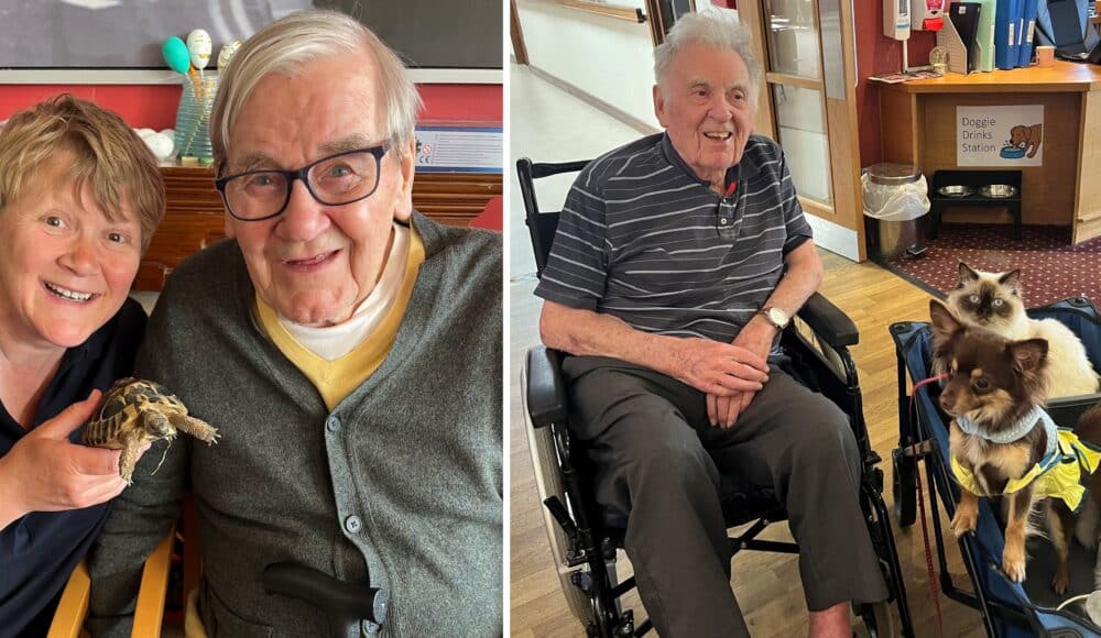 (L): Resident John is delighted to meet a tortoise with his daughter Donna at RMBI Care Co. Home Prince George Duke of Kent Court, in Chislehurst. (R): Resident Ken is bemused to meet Diego the dancing Chihuahua, a puppy, and a rag doll cat.