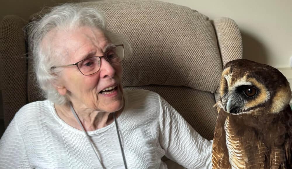 Resident sitting in her armchair and greeting the owl.