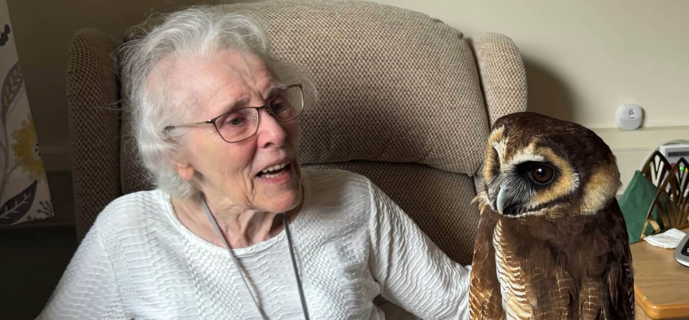 Resident sitting in her armchair and greeting the owl.